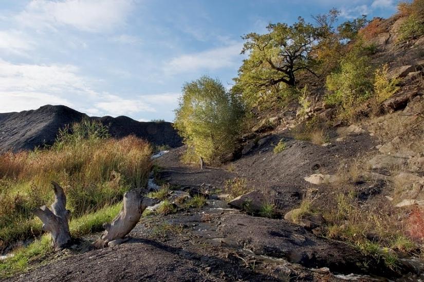Перевальськ з panoramio.com - Perevalsk
