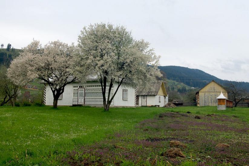 Красник з panoramio.com - Красник