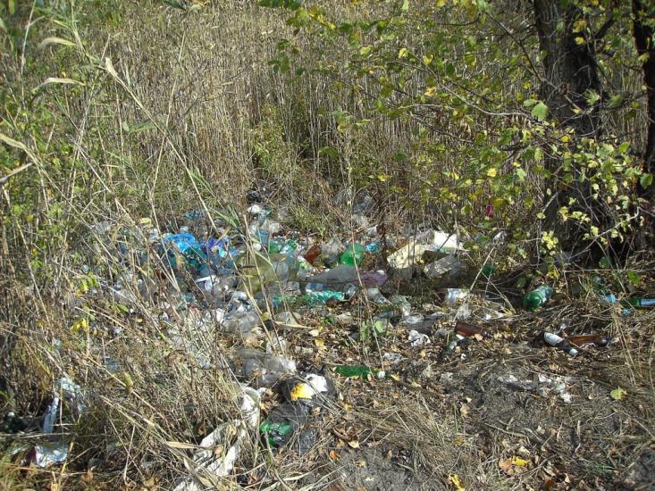 Ряське з panoramio.com - Рясское