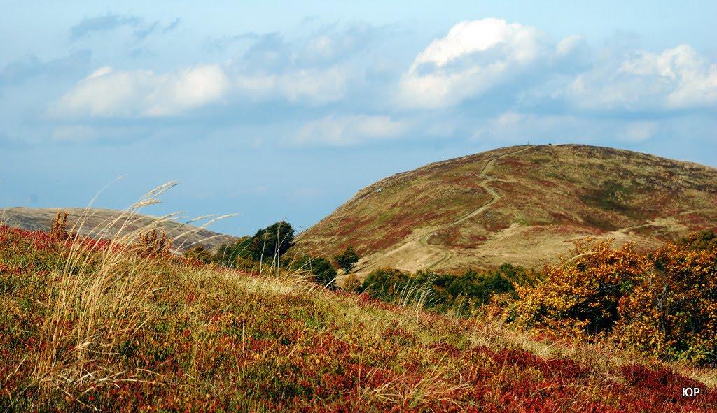 Потік з panoramio.com - Поток