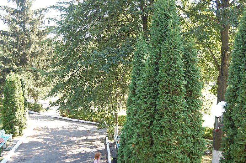 Набережне з panoramio.com - Набережне