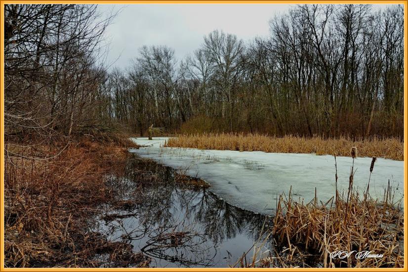 Привілля з panoramio.com - Приволье