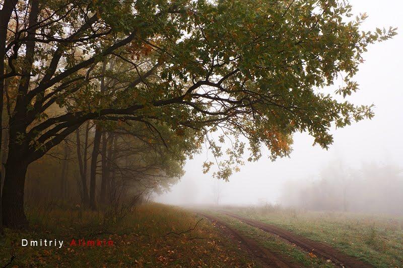 Сидорове з panoramio.com - Сидорове