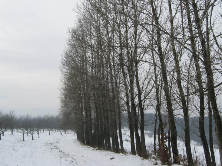 Дебеславці з panoramio.com - Дебеславцы