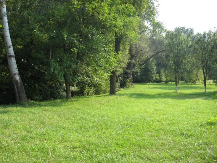 Халеп'я з panoramio.com - Khalepya
