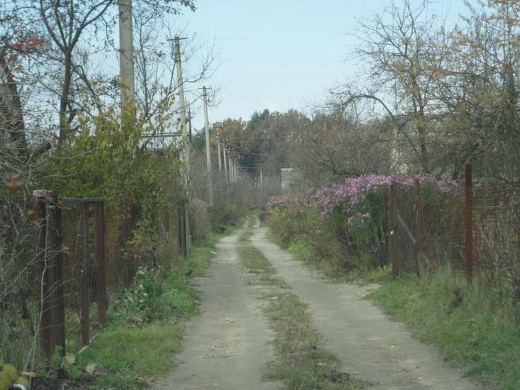 Підрясне з panoramio.com - Подрясное