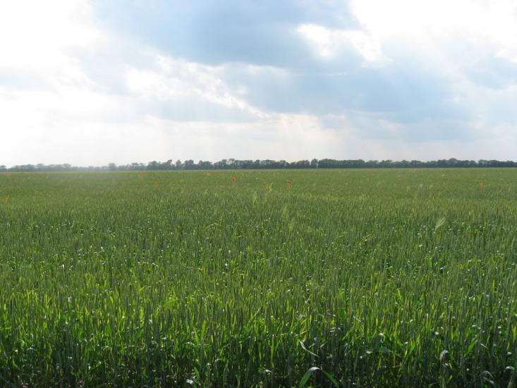 Переможне з panoramio.com - Peremozhne