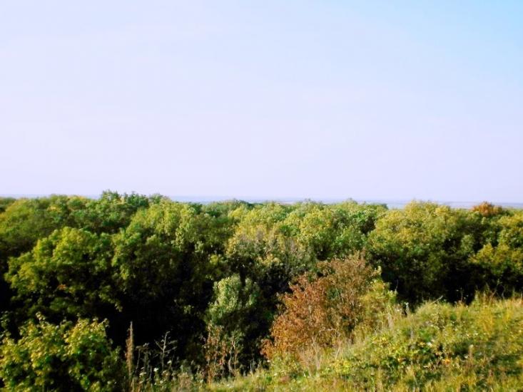 Введенка з panoramio.com - Введенка