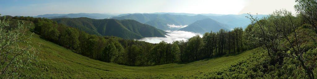 Красна з panoramio.com - Красна