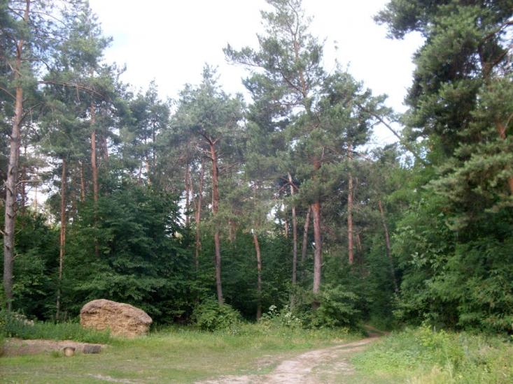 Китайгород з panoramio.com - Китайгород