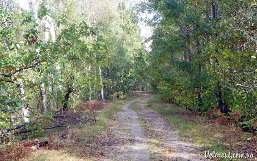 Усове з panoramio.com - Усове