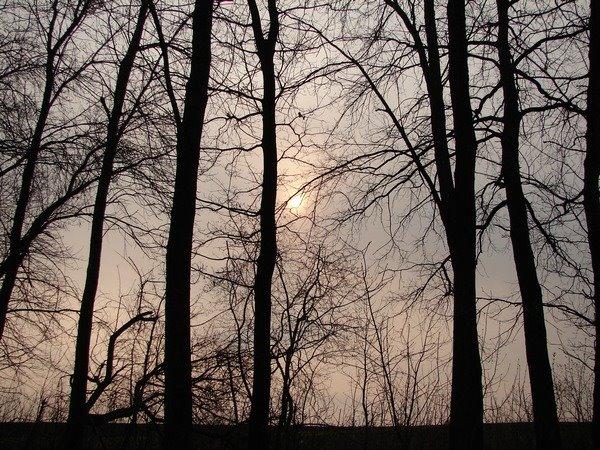 Коротич з panoramio.com - Коротыч