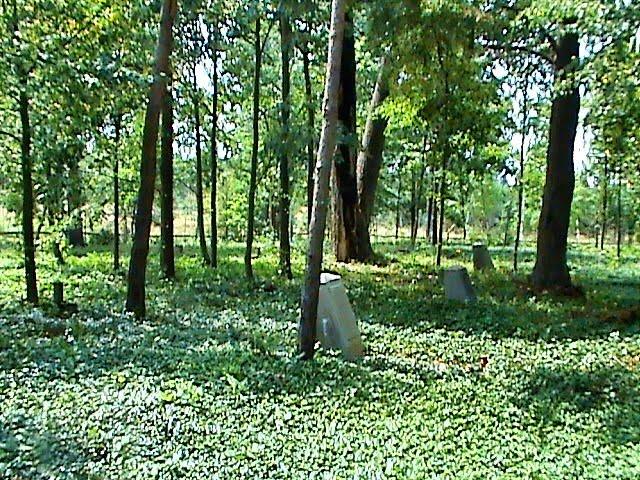 Вирка з panoramio.com - Вырка