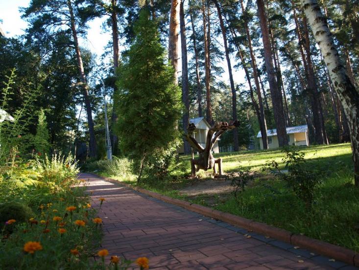 Студенок з panoramio.com - Студенок