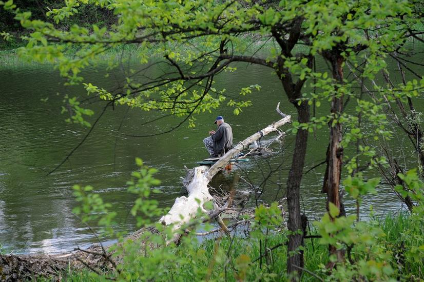 Богородичне з panoramio.com - Богородичное