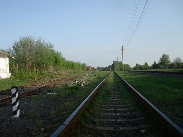 Чотирбоки з panoramio.com - Чотирбоки