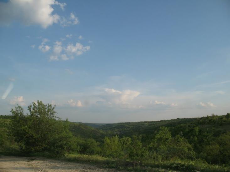 Грабарівка з panoramio.com - Грабарівка