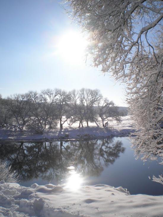 Баранівка з panoramio.com - Баранівка