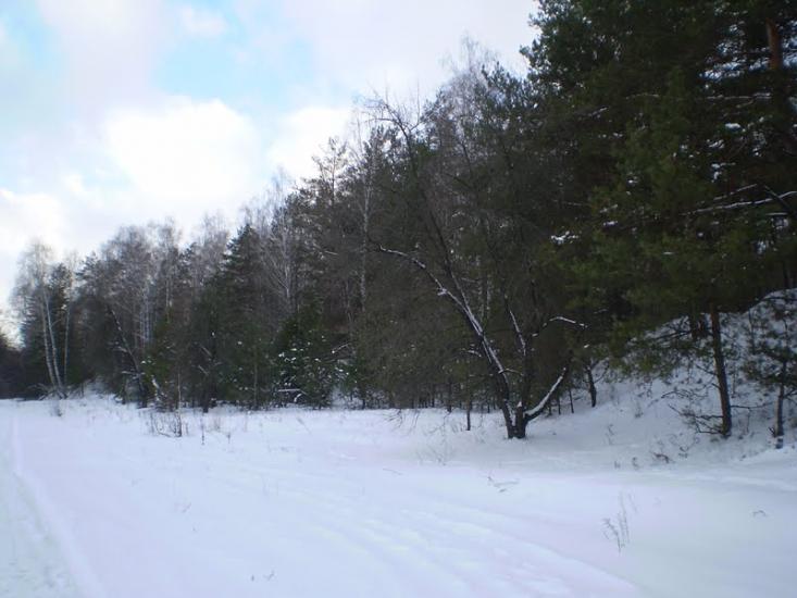 Старий Білоус з panoramio.com - Staryy Bilous