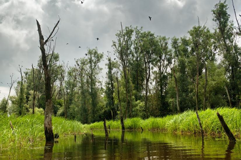 Келеберда з panoramio.com - Keleberda