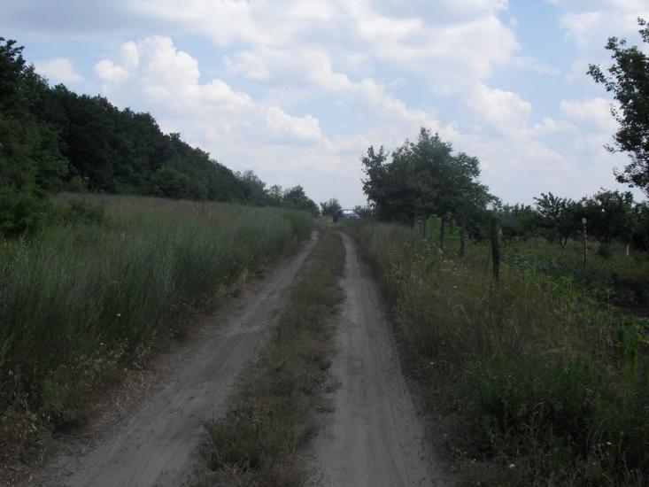 Українське з panoramio.com - Украинское