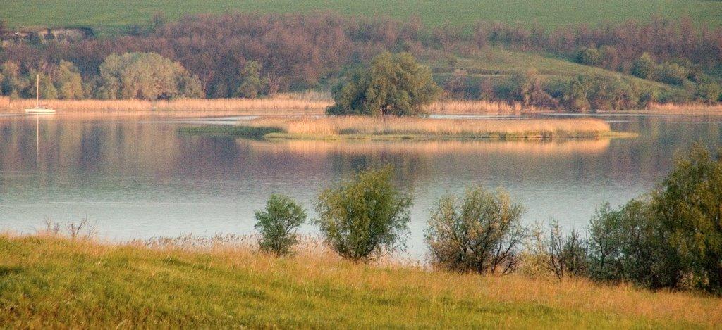 Воронівка з panoramio.com - Вороновка