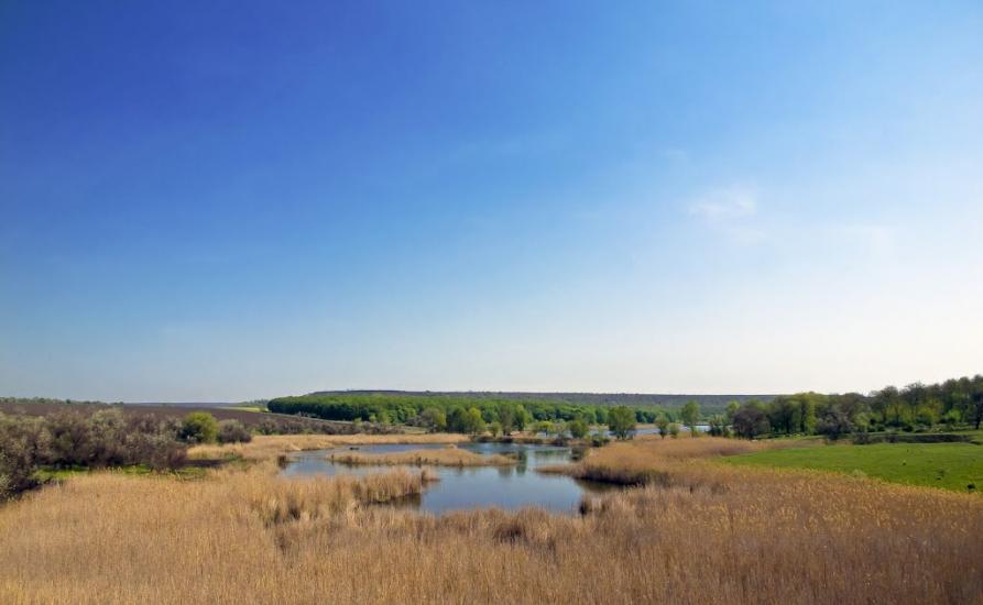 Новоіванівка з panoramio.com - Новоивановка