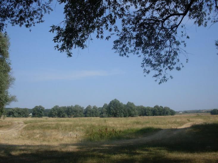 Могриця з panoramio.com - Mogrytsya