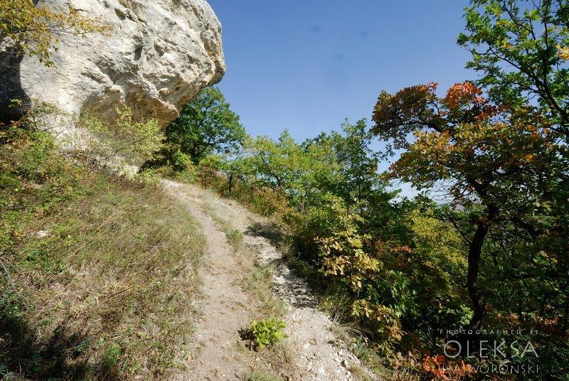 Топольне з panoramio.com - Топольне