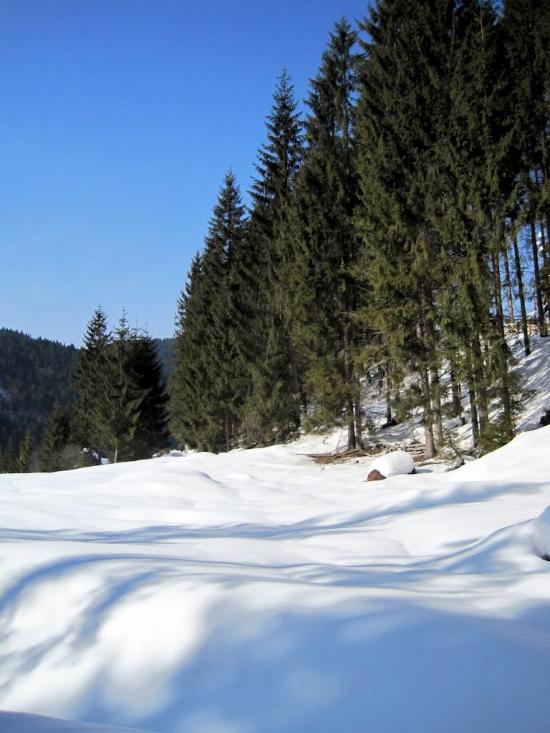 Нижня Рожанка з panoramio.com - Нижняя Рожанка