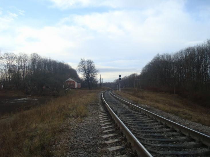 Нижчі Вовківці з panoramio.com - Нижние Волковцы