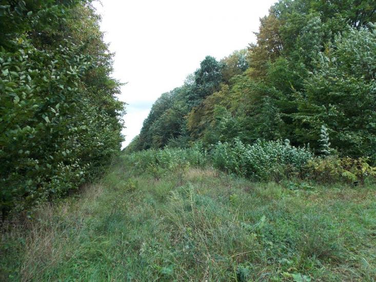 Кисляк з panoramio.com - Kyslyak