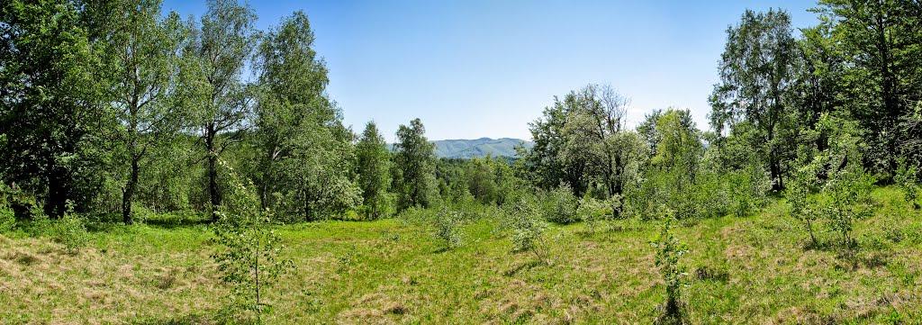 Труханів з panoramio.com - Труханів