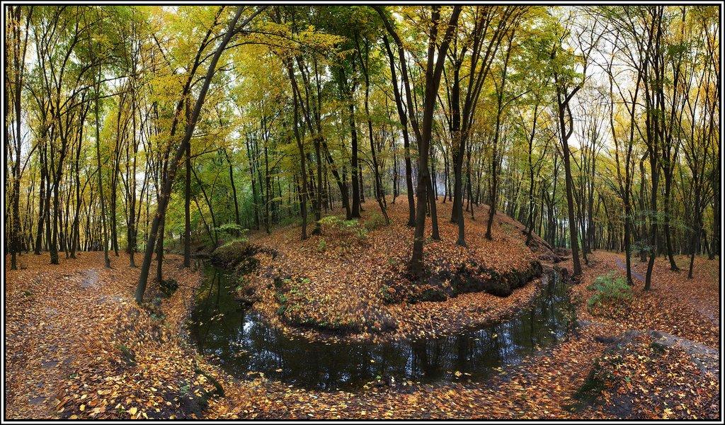 Новосілки з panoramio.com - Новоселки