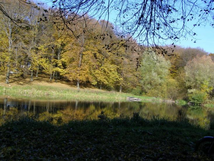 Віньківці з panoramio.com - Віньківці