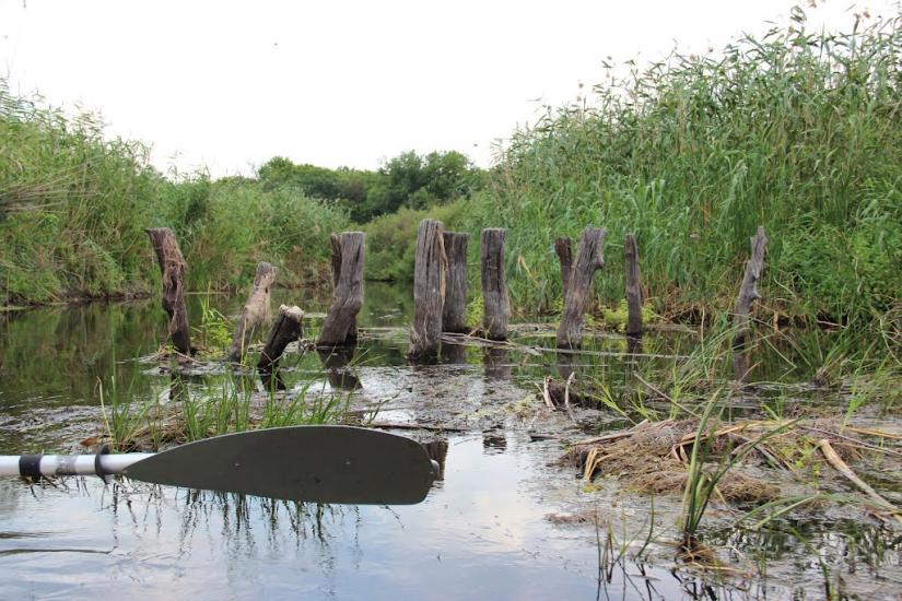 Котовка з panoramio.com - Котовка