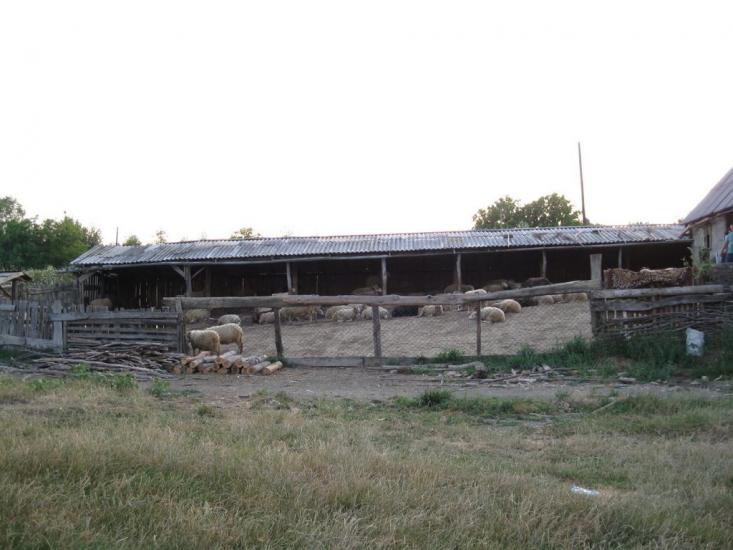 Михальча з panoramio.com - Mykhalcha