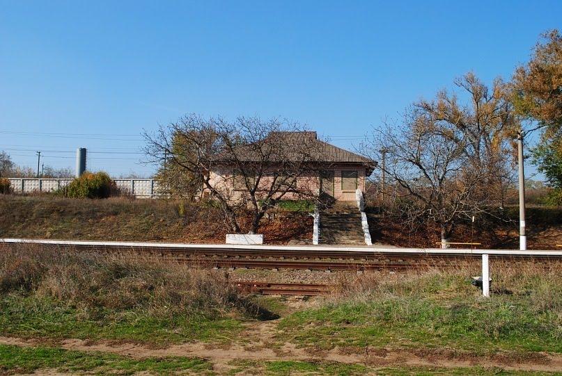 Трихати з panoramio.com - Трихати