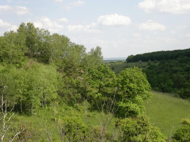 Сидорове з panoramio.com - Сидорове