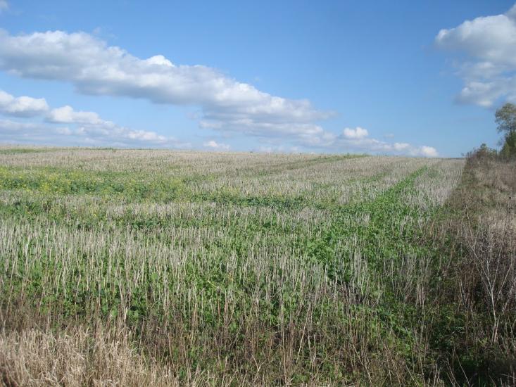 Заруддя з panoramio.com - Зарудье