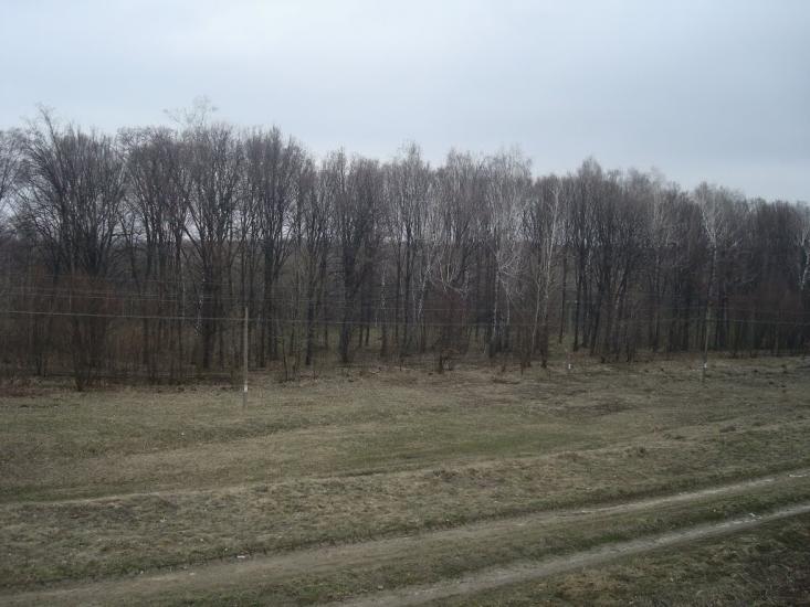 Слобода-Межирівська з panoramio.com - Sloboda-Mezhyrivska