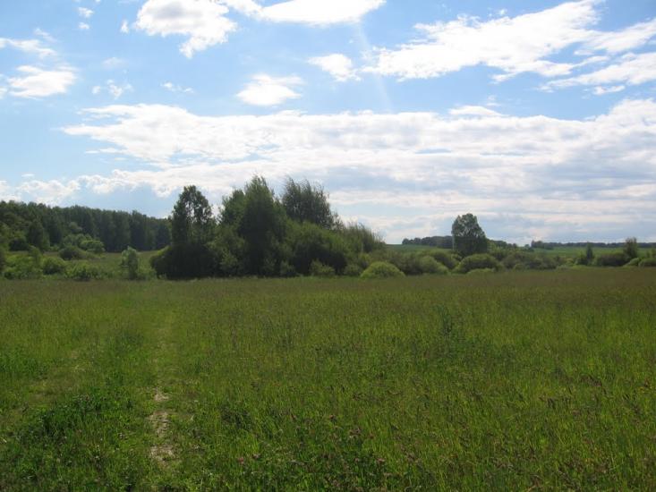 Терехівка з panoramio.com - Тереховка