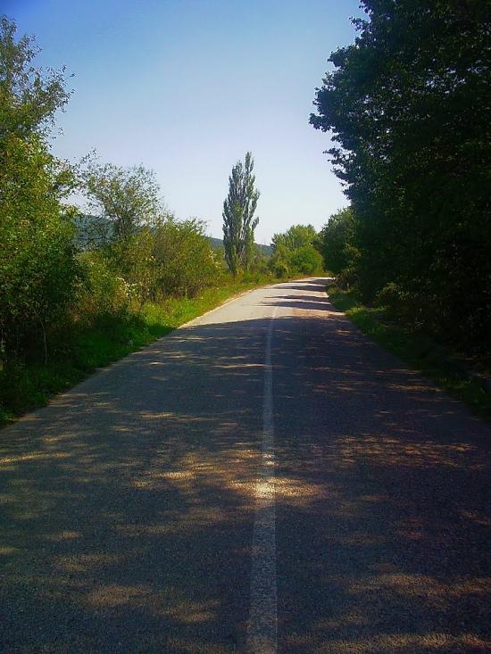 Плотинне з panoramio.com - Плотинное