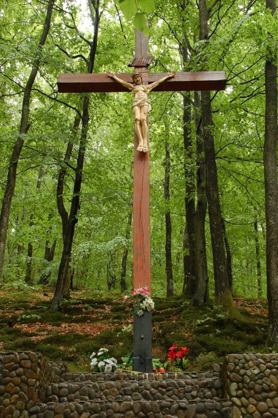 Нижнє Болотне з panoramio.com - Нижнє Болотне