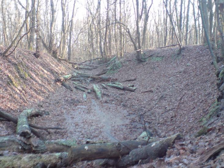 Білики з panoramio.com - Білики