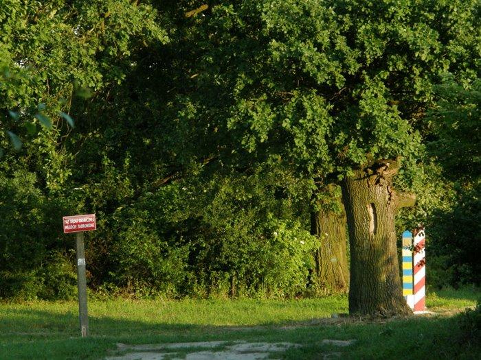 Угнів з panoramio.com - Угнев