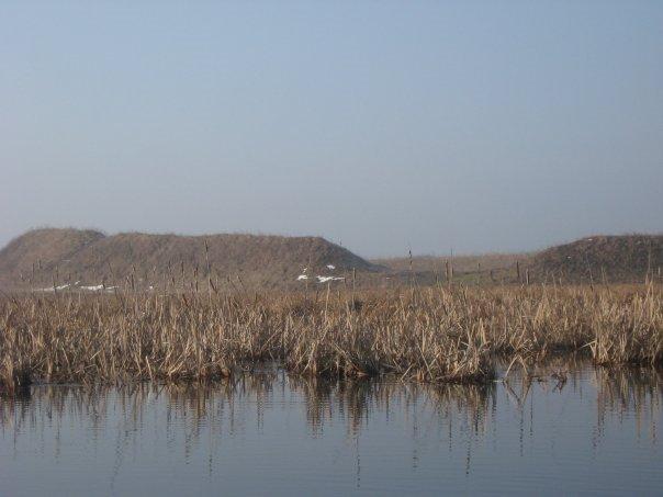 Мар'янівка з panoramio.com - Мар'янівка