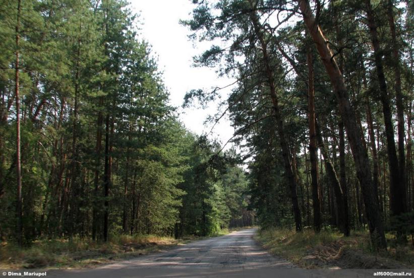 Ярова з panoramio.com - Ярова