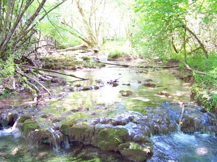Овражки з panoramio.com - Овражки