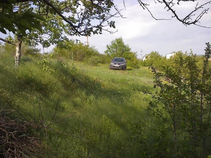 Трихати з panoramio.com - Трихаты